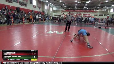 95 lbs Quarterfinal - Harper Hamacher, MN Elite vs Austin Vaith, Monticello