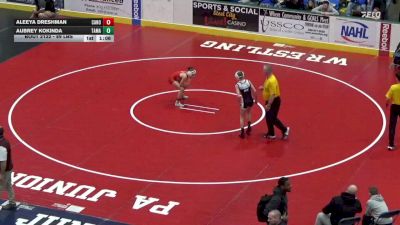 89 lbs Final - Aleeya Dreshman, Canon McMillan vs Aubrey Kokinda, Tamaqua