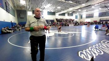 160 lbs Quarterfinal - Brayden Fleming, Salem vs Anthony Rousseau, Timberlane