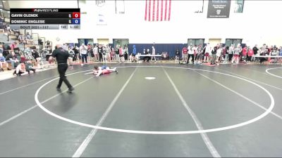 117 lbs Champ. Round 1 - Gavin Olenek, IL vs Dominic Englese, IL