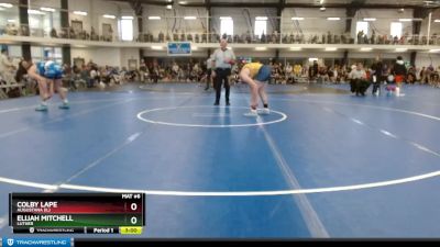Elite 184 lbs Cons. Round 1 - Colby Lape, Augustana (IL) vs Elijah Mitchell, Luther