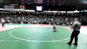 95 lbs Quarterfinal - Brody Charlton, WSW1 vs Dominic Pizzuli, ROGA