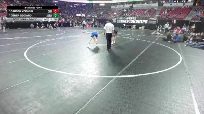 D3-120 lbs Quarterfinal - Derek Godard, Auburndale vs Carsen Voskuil, Cedar Grove-Belgium