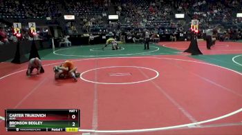 108 lbs Semifinal - Bronson Begley, DAB1 vs Carter Trukovich, GLN2