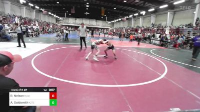 95 lbs Consi Of 8 #2 - Ryder Nelson, Blackcat WC vs Aiden Goldsmith, Aztec YW