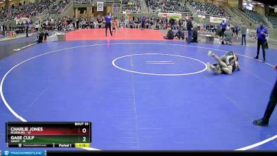 147 lbs Finals (8 Team) - Gage Culp, Sandy vs Charlie Jones, Roseburg