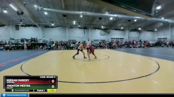 126 lbs Cons. Round 3 - Trenton Mestas, Valley vs Keegan Marosy, Horizon