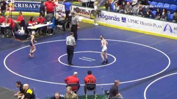 87 lbs Semifinal - Davis Motyka, Wyoming Vly West vs Nathan Desmond, Bethlehem