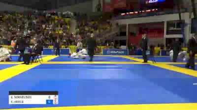 KRISTIN MIKKELSON vs ERIN HERLE 2019 World Jiu-Jitsu IBJJF Championship