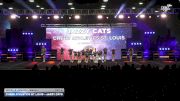 Cheer Athletics St. Louis - Jazzy Cats [2025 L2 Junior - Small Day 2] 2025 WSF Grand Nationals