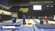 KJ Richardson - Vault, Gymkhana IL - 2021 USA Gymnastics Development Program National Championships