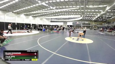 141 lbs Cons. Round 4 - Tylik Epps, Castleton vs Elijah Moshenek, Alfred State