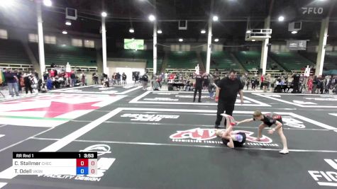 Connor Stallmer vs Ty Odell 2023 ADCC Denver Open