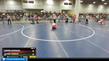 113 lbs Cons. Round 5 - Damien Moseley, MO vs Carter Schmauss, IA