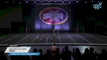 Wolf Pack All Stars - Pups [2025 L1 Tiny - Novice - Restrictions - D2 Day 1] 2025 Cheer Power Prep Nationals & Galveston Showdown
