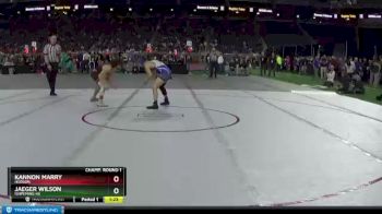 D4-130 lbs Champ. Round 1 - Jaeger Wilson, Ishpeming HS vs Kannon Marry, Hudson