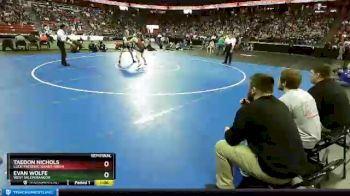 D2-138 lbs Semifinal - Evan Wolfe, West Salem/Bangor vs Taedon Nichols, Luck/Frederic/Grant./Siren