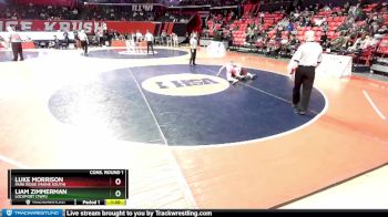 3A 132 lbs Cons. Round 1 - Liam Zimmerman, Lockport (Twp.) vs Luke Morrison, Park Ridge (Maine South)