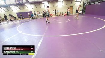 165 lbs Cons. Semi - Kieler BRANCH, Lebanon Yellowjacket Wrestling vs Caden Gousetis, Purler Wrestling Academy