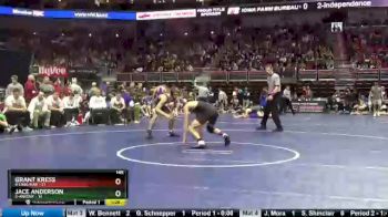 145 lbs Quarterfinal - Grant Kress, 4-Linn-Mar vs Jace Anderson, 5-Ankeny