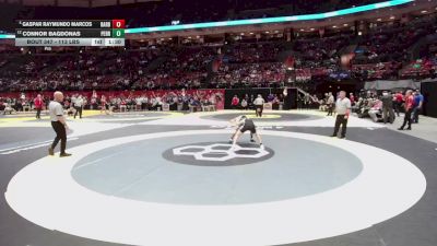 113 lbs Champ. Rd Of 16 - Gaspar Raymundo Marcos, Barberton vs Connor Bagdonas, Perrysburg
