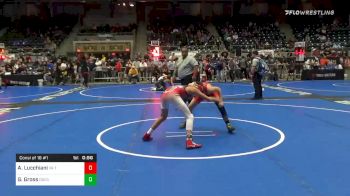 96 lbs Consolation - Anthony Lucchiani, VA Team Predator vs Gable Gross, Odessa