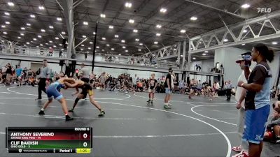 126 lbs Round 6 (8 Team) - Anthony Severino, Savage King Pins vs Clif Bakhsh, Ohio Gold