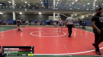 80 lbs Round 5 (6 Team) - Tripp Farrington, Columbus St. Francis Desales vs Giovanni Brunst, St. Edward