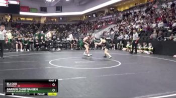 138 lbs Quarterfinal - Eli Cox, Indianola vs Garren Christiansen, Dubuque Hempstead