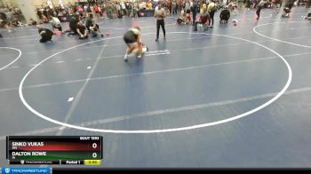 138 lbs Cons. Round 3 - Dalton Rowe, IA vs Sinko Vukas, MN