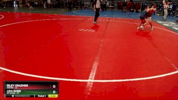 102 lbs Semis & 1st Wrestleback (8 Team) - Levi Robb, St. Peter vs Riley Kraemer, Rocori