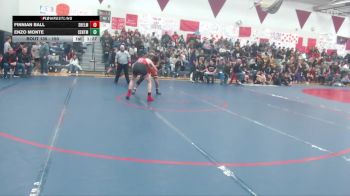 150 lbs Quarterfinal - Enzo Monte, Centralia vs Finnian Ball, Shelton