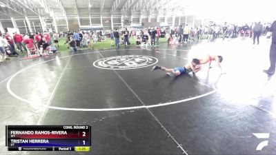 106 lbs Cons. Round 2 - Fernando Ramos-Rivera, WY vs Tristan Herrera, UT