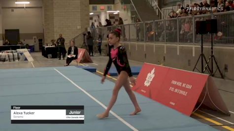 Alexa Tucker - Floor, Dynamo
