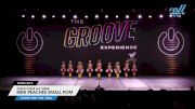 Peach State All Stars - Mini Peaches Small Pom [2024 Mini - Pom - Small Day 2] 2024 GROOVE Dance Grand Nationals