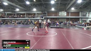 174 lbs Champ. Round 2 - Adam Sylvester, Augsburg vs Aj Joyner, Augustana (IL)