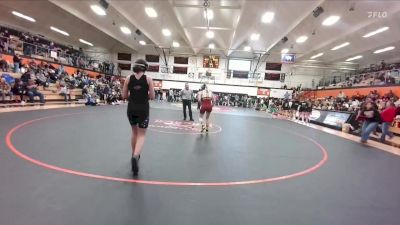 135 lbs Quarterfinal - Felicity Ziemer, DouglasSD vs Remington Aullman, Star Valley