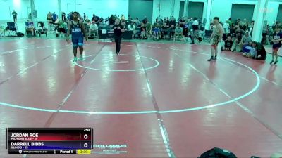 250 lbs Round 2 (8 Team) - Jordan Roe, Michigan Blue vs Darrell Bibbs, Illinois