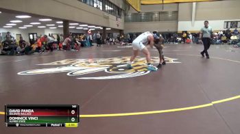 141 lbs Cons. Round 4 - Dominick Vinci, Alfred State vs David Panda, Baldwin Wallace