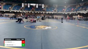 113 lbs Quarterfinal - Alexander Valentin, Lane Tech vs Zyan Westbrook, Sterling