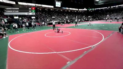 50 lbs Cons. Round 4 - Asher Haugen, BVAA vs Conor Styles, STR1