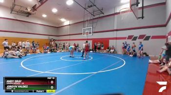 142 lbs Round 5 (6 Team) - Jordyn Valdez, MPWC vs Andy Gray, Kansas Bronze