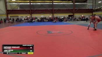 157 lbs Champ. Round 3 - Jake Wood, Perrysburg vs Anthony Rinehart, Crown Point
