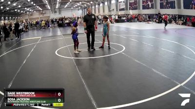 80 lbs Semifinal - Mariah Vanderbilt, Spring Klein Wrestling Club vs Tobias Liu, Powerhouse Wrestling