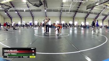 125 lbs Champ. Round 1 - Colin Mellott, Ohio Northern Univerity vs Benito Tinhaj, Albion