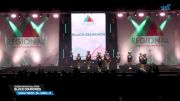 Cheer Dynamics All Stars - Black Diamonds [2025 L1 Youth - D2 - Small - B Day 2] 2025 The Northeast Regional Summit