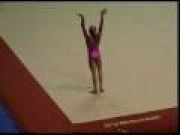 Topgym 2008: Kamerin Moore USA FX