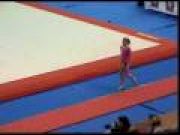 Topgym 2008: Kamerin Moore USA Vault