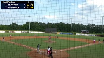 Replay: Home - 2025 Blowfish vs Flamingos - DH | Jun 3 @ 5 PM