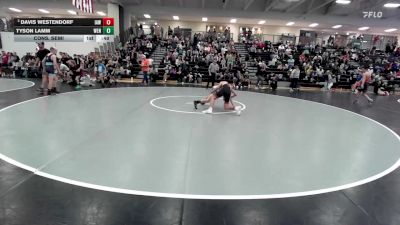 100 lbs Cons. Semi - Davis Westendorf, Immortal Athletics WC vs Tyson Lamm, Wentzville